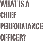 What is a Chief Performance Officer?